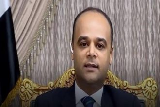 السفير نادر سعد : بعض موظفي الحكومة سيحصلون على 600 جنيه زيادة