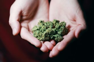 Propiedades del CBD y el cannabis
