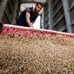 احتياطيات القمح في مصر تكفي للاستهلاك لأكثر من 5 أشهر