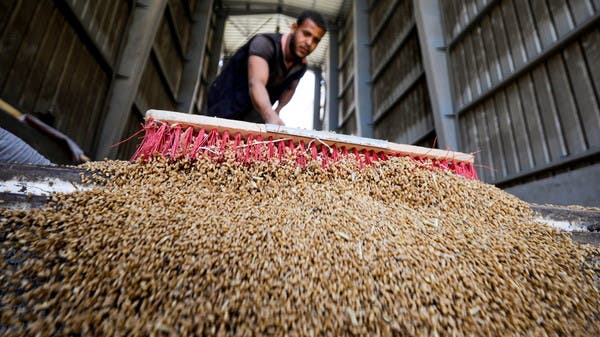 احتياطيات القمح في مصر تكفي للاستهلاك لأكثر من 5 أشهر