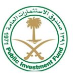 صندوق الاستثمارات العامة للغة العربية: نسبة القرض إلى أصول الصندوق لا تتجاوز 3٪