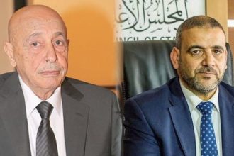 لمناقشة الدستور والترشح لرئاسة الجمهورية .. التقى صالح والمشري في القاهرة