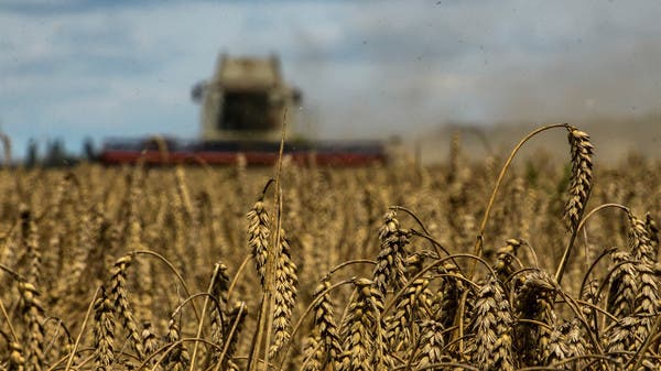تتوقع أوكرانيا انخفاضًا في صادرات الحبوب في 2023-2024