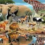 الحيوانات المهددة بالانقراض في الجزائر