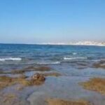 انحسار مياه البحر يثير ضجة في لبنان ومصر ... وخبراء يشرحون ذلك