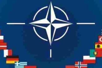ما هو حلف الناتو؟