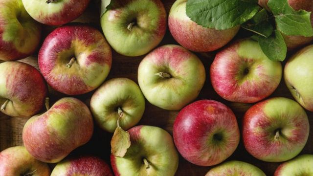 أنواع التفاح بالصور
