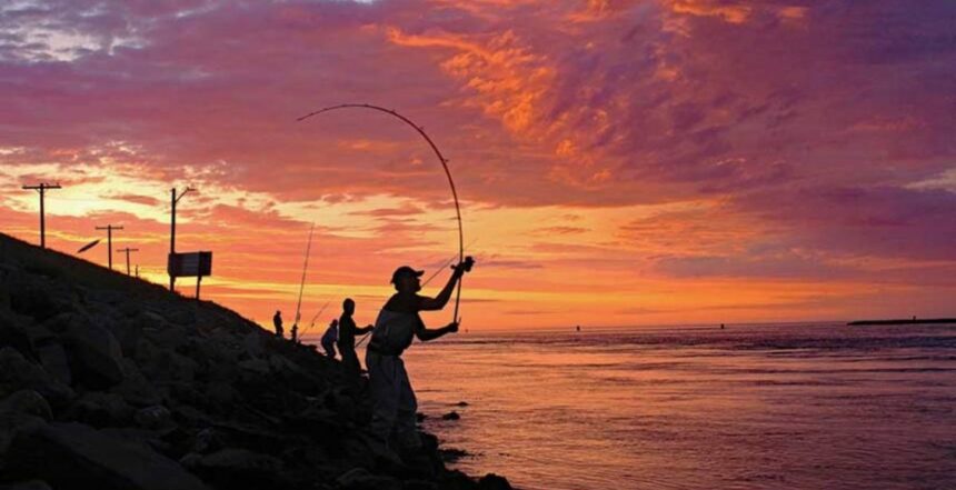 صيد السمك في مصر