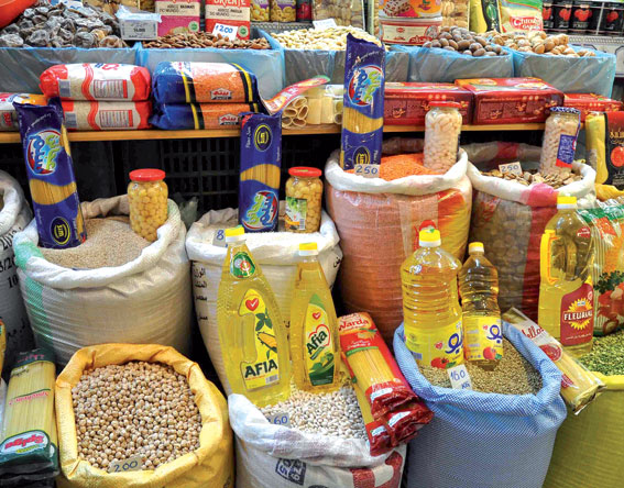 دراسة جدوى تجارة المواد الغذائية بالجملة في مصر