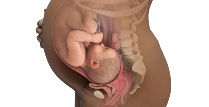 كيف تكون وضعية الجنين في الشهر الثامن بالصور