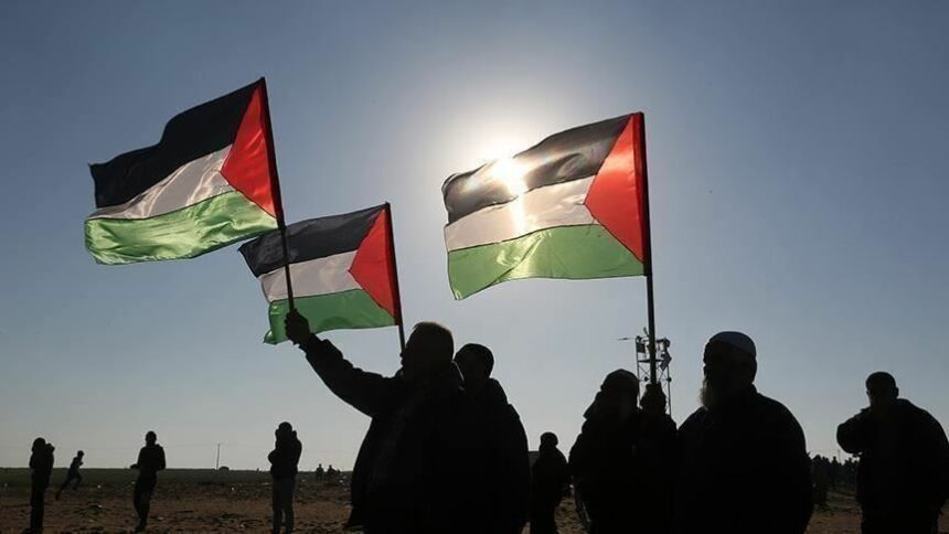 كيف نتضامن مع فلسطين