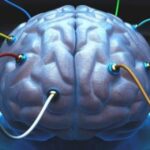 ما هي الشحنات الكهربائية في الدماغ