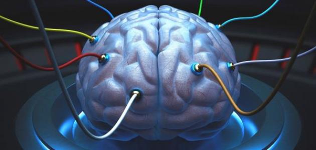 ما هي الشحنات الكهربائية في الدماغ