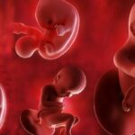 هل يتأثر شكل الجنين بما تراه الأم الحامل؟