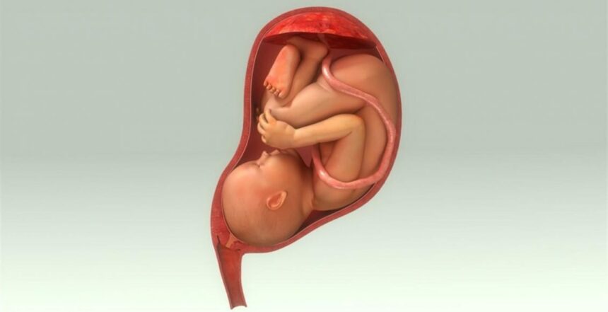 وضع الجنين في الشهر السابع