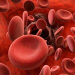 أفضل 5 طرق تساعدك على زيادة كريات الدم الحمراء