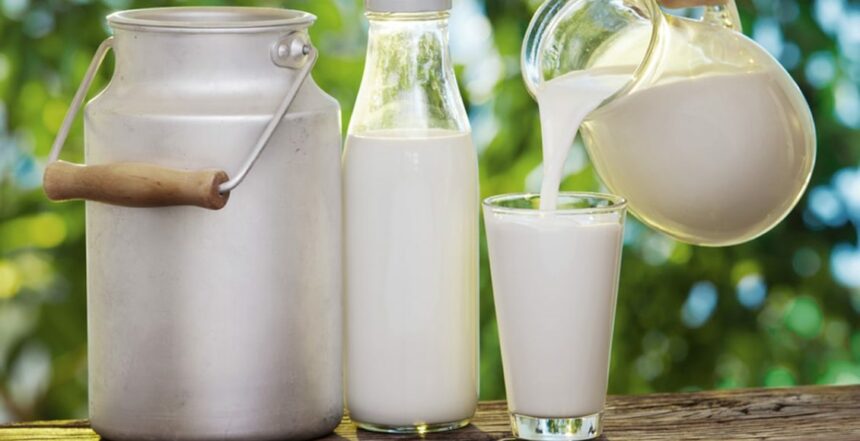 أفضل أنواع الحليب لزيادة الوزن