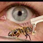 علاج جفاف العين بالعسل