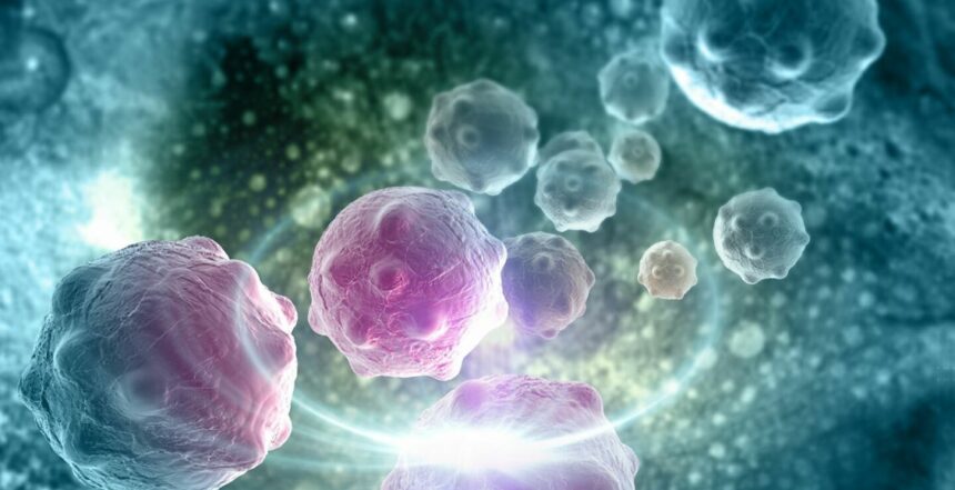 كيف يمكن وصف الخلايا السرطانية