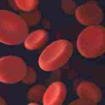 هل سرطان الدم معدي وما هي أسبابه وطرق علاجه
